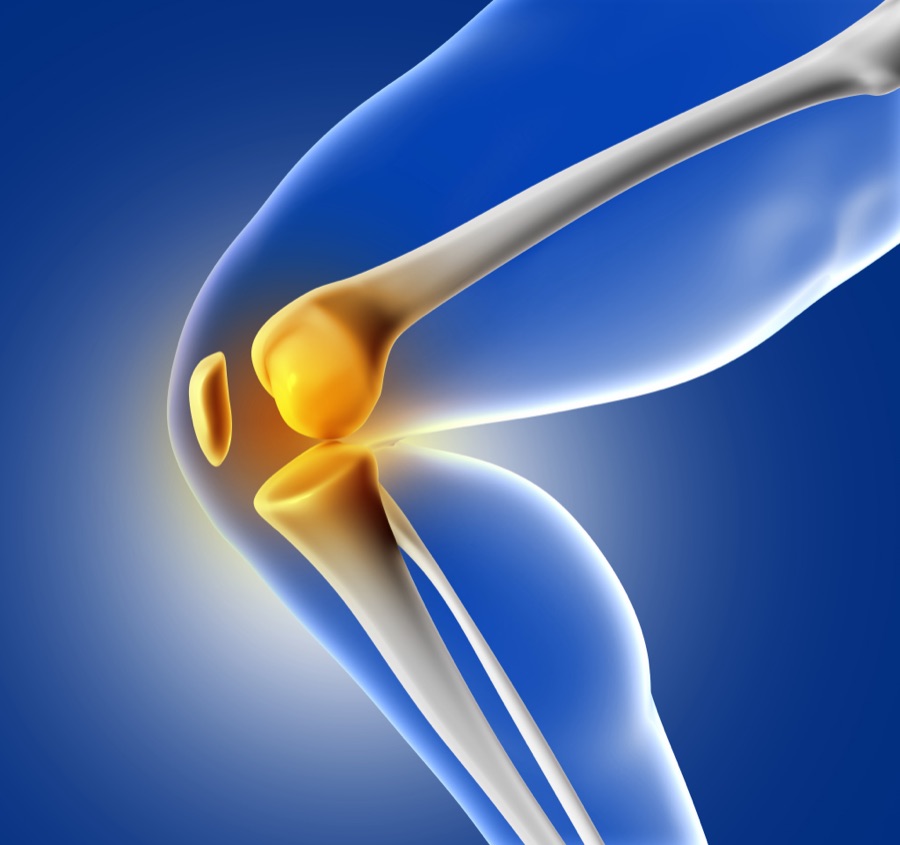 3D render of a healthy knee joint and cartilage
